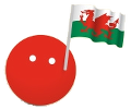.cymru domain name check and buy Cymraeg in domain names