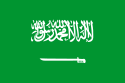 Saudi Arabia (Centralnic) domain name check and buy Saudi Arabia RESRTICTIONS in domain names