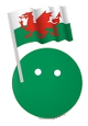 .wales domain name check and buy Welsh in domain names